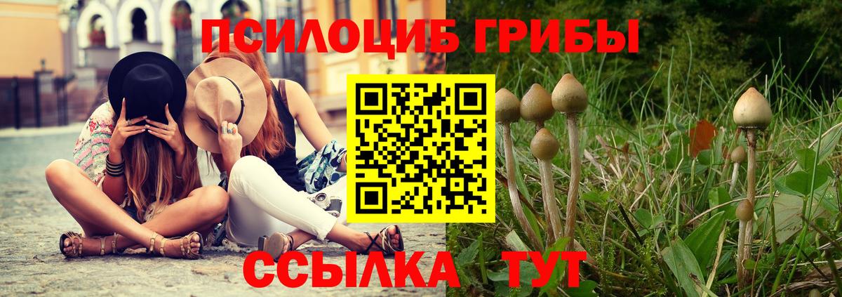 Галлюциногенные грибы ЛСД  Вход с VPN  Псилоцибиновые грибы мицелий  купить наркотики цена  Кизилюрт 