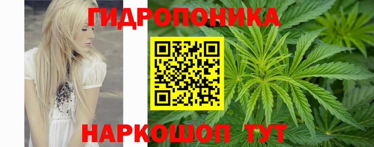 Бошки Шишки Ganja Кизилюрт